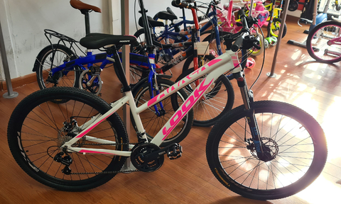 Bicicleta Aurora Mountain Bike 650 ASXD Rodado 27,5 24 Velocidades