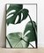 Cuadro Monstera Leaf 35x50 Marco Chato Natural