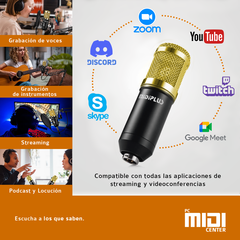 Kit Grabación Micrófono Condenser BM800 Brazo Articulado USB Gris - comprar online