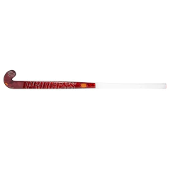 PALO PRINCESS PREMIUM 4K 10 STAR ELB 100% CARBONO 37.5" - HR LOCKER