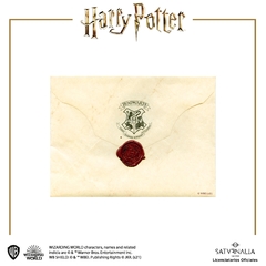 Imán decorativo Carta de Hogwarts - HARRY POTTER™ OFICIAL