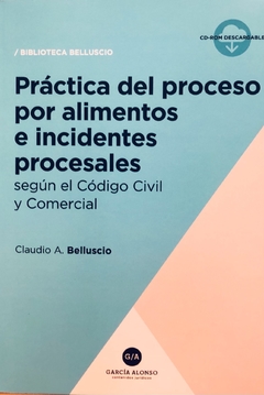 Práctica proceso Alimentos e incidentes (modelos) 2018 Belluscio, Claudio A.
