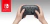 NINTENDO SWITCH PRO CONTROLLER - Play For Fun
