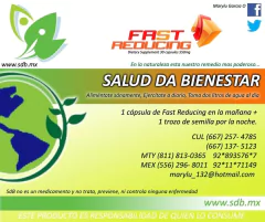 Seed Brazil - This was our image in 2012.