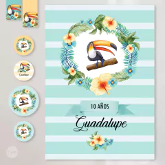 Kit imprimible tucanes toucans aves birds candy bar tukit - TuKit