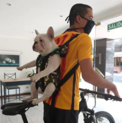 Mochila Transportadora Para Perros - LaikaPet!