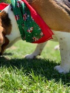 Pañuelo estampado con diseños navideños para perros grandes