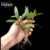 Dendrobium Kingianum ( Sem identificação de Cor ) - Tam. 2 na internet