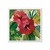 Tropical Jewels I - tienda online
