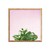 Succulent Simplicity on Pink V