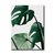 Monstera I en internet