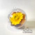 Set x 6 Globos transparentes con Flores Secas Amarillas N6
