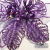 Estrella Federal Calada Violeta con Clip - comprar online
