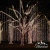 LED PLATINUM Blanca Calida 10mts prolongable CABLE VERDE - El Rey de la Navidad