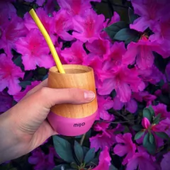 Mate Madera Bombilla Matero Caldén Mijo Tienda Pepino
