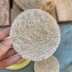 Discos exfoliantes de esponja vegetal en internet