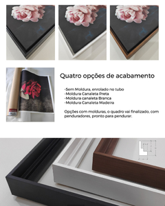 Conjunto 2 Quadros - Orgânico Abstrato - comprar online