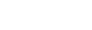 Disfit