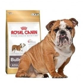 Royal Canin Bulldog Inglés 24