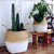 CANASTO BLANCO GRANDE - tienda online