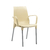 Silla Lola con Brazos Aluminizada - comprar online