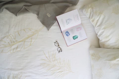 Funda de Edredón Blanco Hojas Beige - King - Langosta