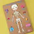 Encastre Cuerpo Humano