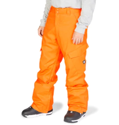 Pantalon Dc Para Nieve De Hombre Snow Banshee - comprar online