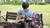 Guitarra acústica Cort Earth mini adiro en internet