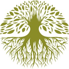 árvore raiz recicle use camiseta ecológica