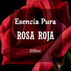 Esencia Pura «Rosa Roja» x250cc.