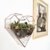 Terrario WALL HEART con plantas - comprar online