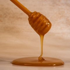 MIEL DE ABEJAS // 4Kg - comprar online