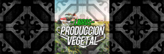 Banner de la categoría PRODUCCION VEGETAL