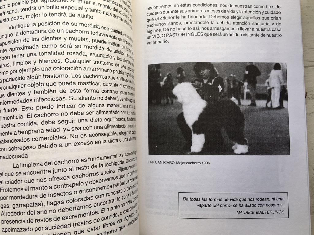 El Antiguo Perro Pastor Inglés - R. Taragano - Traça Livraria e Sebo