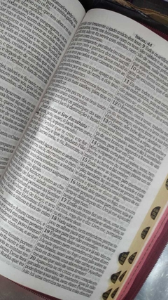 Bíblia letra gigante com harpa - capa luxo floral rosas na internet
