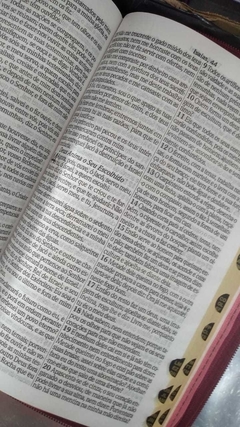 Bíblia letra gigante com harpa - capa luxo rosa raiz na internet