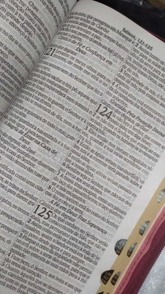Bíblia feminina letra gigante - capa com zíper pink folha na internet