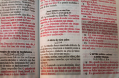 Biblia Sagrada Letra Gigante Harpa Palavras Jesus Vermelho - Ziper Tijolinho - Mundial Records Editora