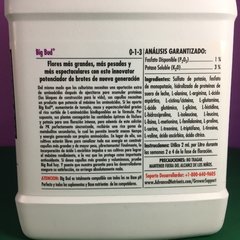 Advanced Nutrients Big Bud 500ml. - VaporEver - comprar online