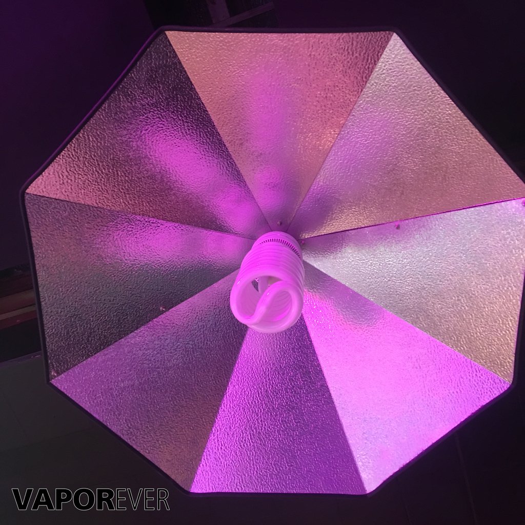 Paraguas con Gofrado Aleman Iluminacion - Vaporever