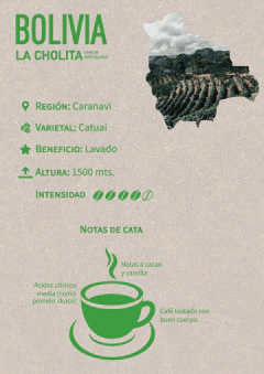 Blend de Especialidad por Nicolás Artusi - Bolivia, Finca La Cholita - comprar online