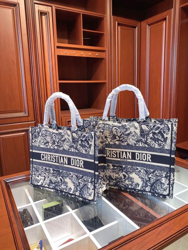 dior bolsa buy