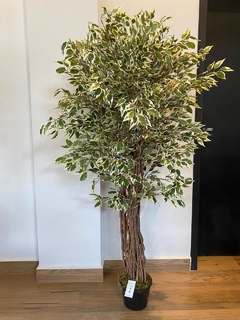 Ficus artificial - 1,50 Metros - loja online
