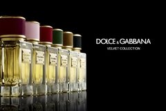 Velvet Vetiver de Dolce&Gabbana Unissex - Decant na internet