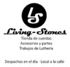 Floyd Rose Barra De Montaje De Pivotes Cromado - Living-Stones 