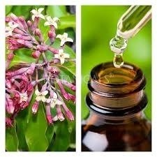 Aceite Esencial De Sándalo 15 Ml Saiku Cosmetologico En Coghlan - Saiku Natural 