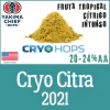 Lúpulo Cryo Citra en LupulN2 Pellets