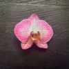 Combo Orquídea en internet