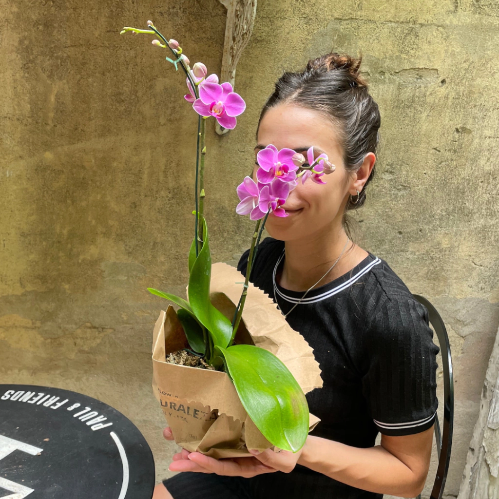 neumático árbitro Perceptivo Orquídea premium chica - Comprar en anette